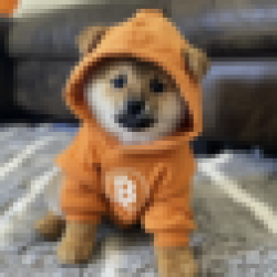 Dog (Bitcoin) DOG