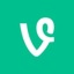 Vine VINE