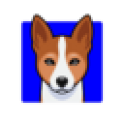 Basenji BENJI