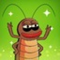 KoKoK The Roach KOKOK