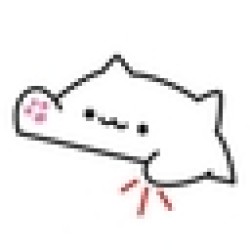 BONGO CAT BONGO
