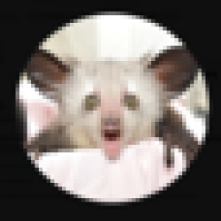 Wrapped AyeAyeCoin WAAC