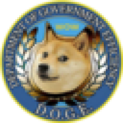 Department Of Government Efficiency DOGE