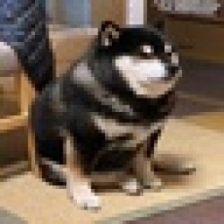 Dark Cheems TOTAKEKE