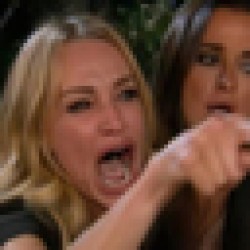 Woman Yelling At Cat WYAC