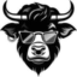 Wall Street Memes WSM