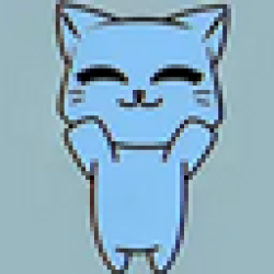 momo the cat MOMO