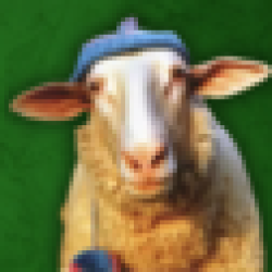 Sheep Wif Hat SWIF
