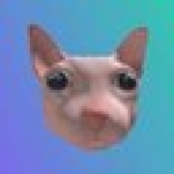 Bingus The Cat BINGUS