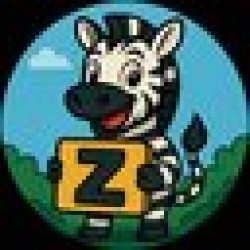 Z Z