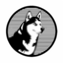 Husky Avax HUSKY