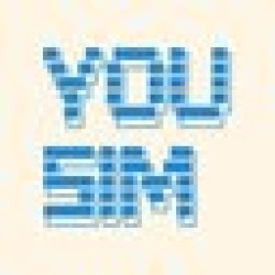 YouSim YOUSIM