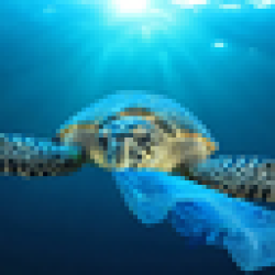 Unbagging The Ocean UNBAGGED