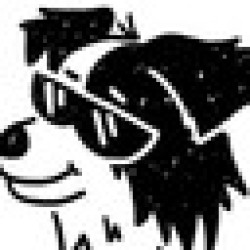 Woofi the genius dog WOOFI