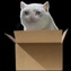 Schrodinger's Coin MAYBE