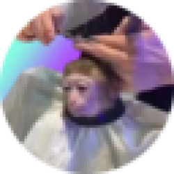 monkeyhaircut MONK