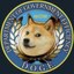 Department of Gov Efficiency DOGE