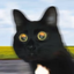 Andrea Von Speed ANDREA