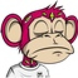 jungle bay memes JBM