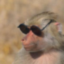 MOST ELEGANT MONKEY EVER MEME