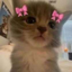 iiii lovvvv youuuu ILY