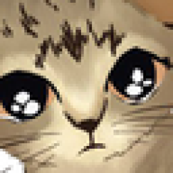 MEOW MEOW