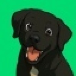 Luca Netz's Dog BANDIT