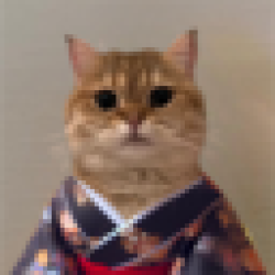 catownkimono COK