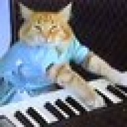 Keyboard Cat KEYCAT