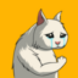 Crying Cat CRYING