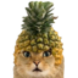 Pineapple Cat PICA
