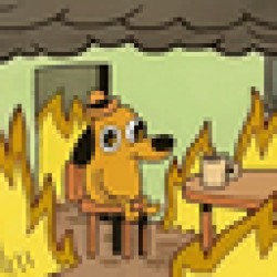 This is fine FINE