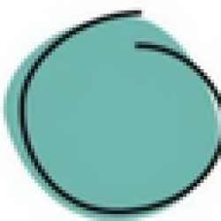 the imperfect coin IMPERFECT