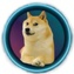 Kabosu on SOL KABOSU