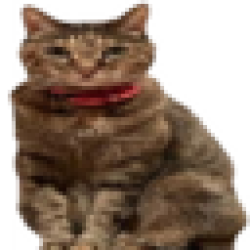 Tsutsuji Doge's Sister TSUJI