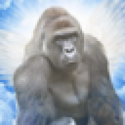 CTO Harambe HARAMBE
