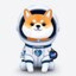 Asteroid Shiba ASTEROID