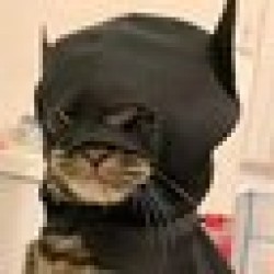 batcat BTC