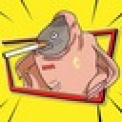 Smoking Chicken Fish SCF