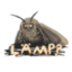 Moth MOTH