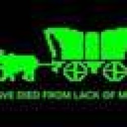 Lack Of Memes MEMELESS