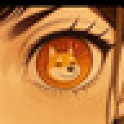 ACT B : The Bonk Prophecy ACT B