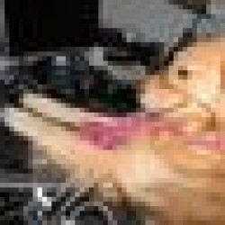 Golden Bailey BAILEY