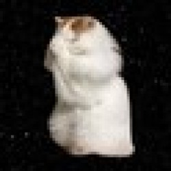 conviction CONVICTION