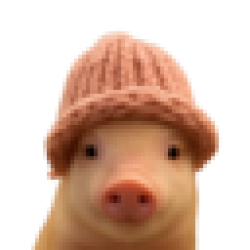 pig wif hat PIGWIF