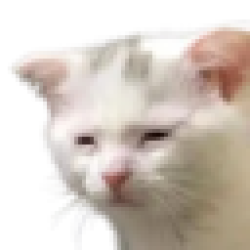 tired of it all TIRED