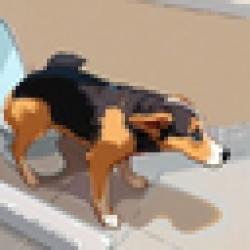 Pissing Dog Farts PDF