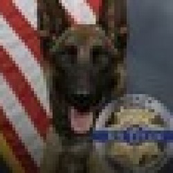 K-9 Killed in Shootout TITAN