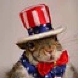 Sugar Bush the Squirrel SUGAR