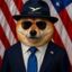 Official DogeWLFI Coin DOGEWLFI